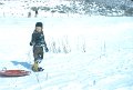 stu sledding